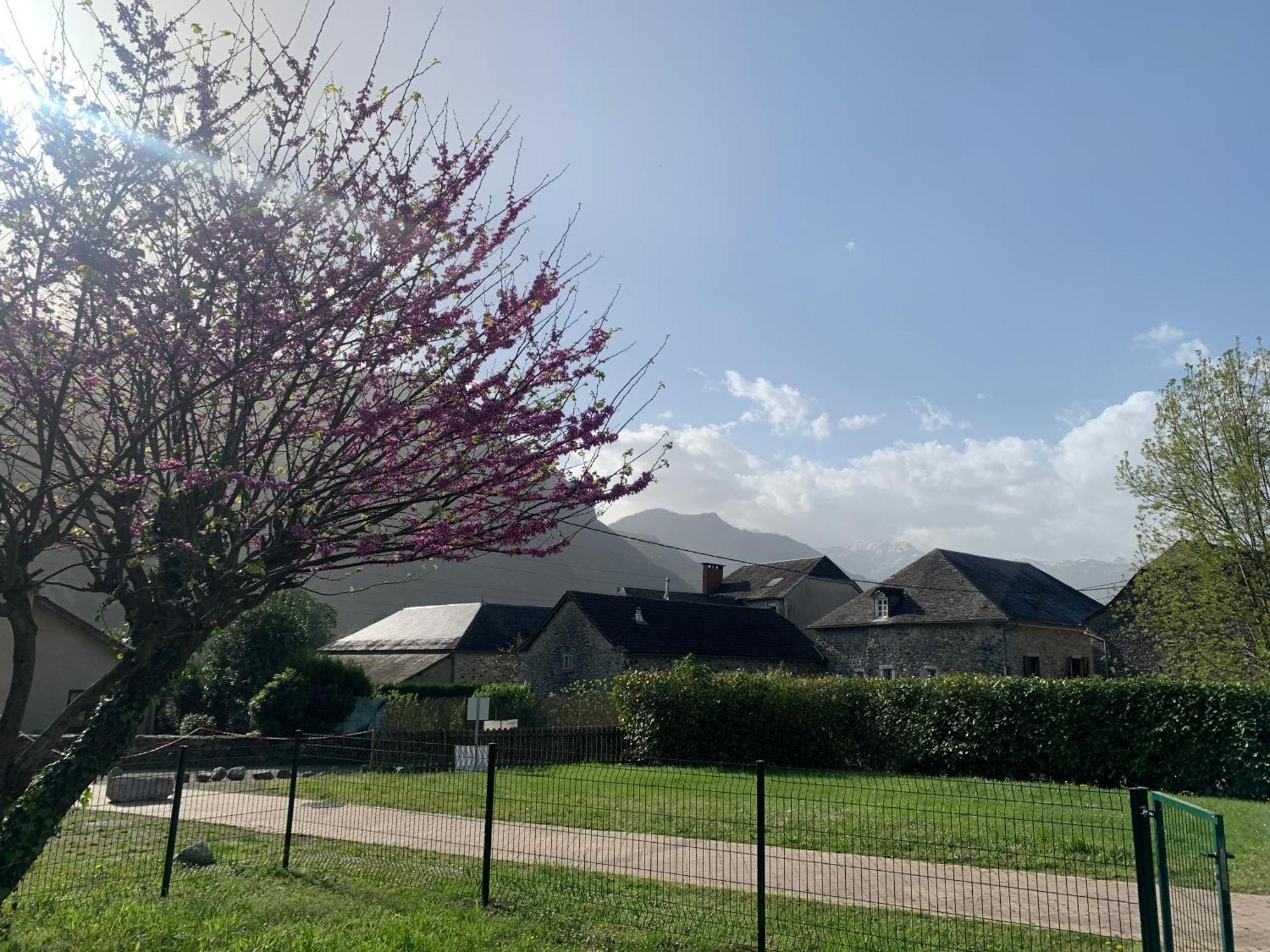La Suite Unique - Le Jardin Sur Les Pyrenees- Vue Panoramique Montagne -Jardin Cloture Prive De 100M2-Parking-Linge De Lit Et Serviettes Compris- Bielle Экстерьер фото