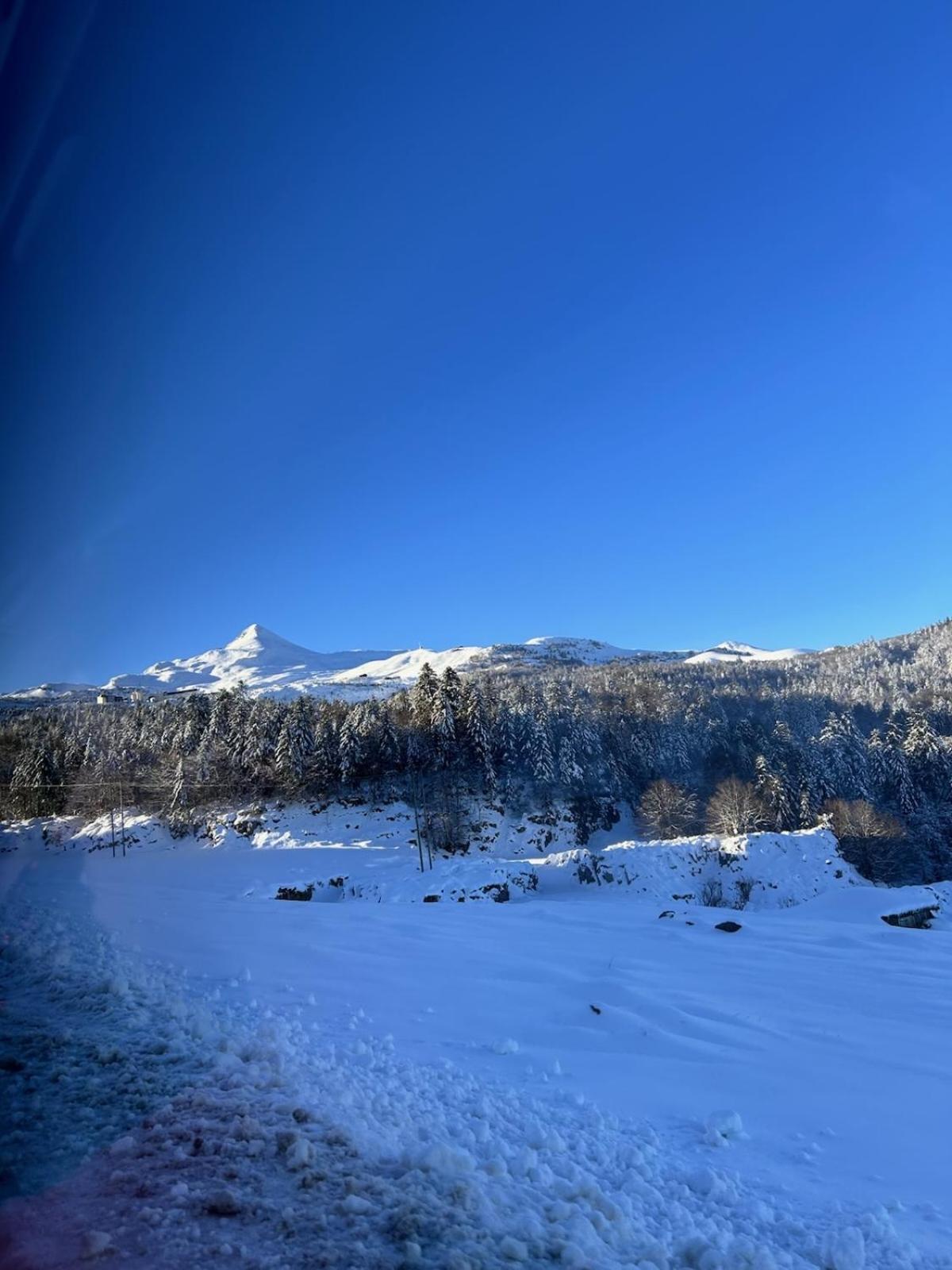 La Suite Unique - Le Jardin Sur Les Pyrenees- Vue Panoramique Montagne -Jardin Cloture Prive De 100M2-Parking-Linge De Lit Et Serviettes Compris- Bielle Экстерьер фото
